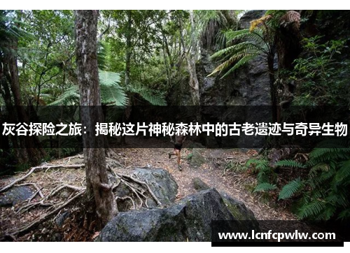 灰谷探险之旅：揭秘这片神秘森林中的古老遗迹与奇异生物