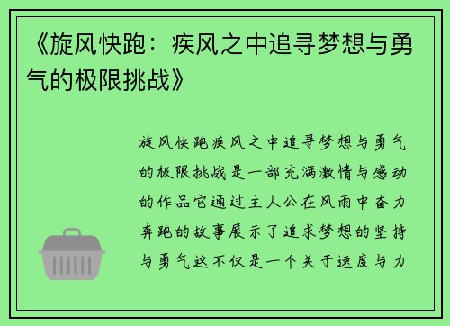《旋风快跑：疾风之中追寻梦想与勇气的极限挑战》